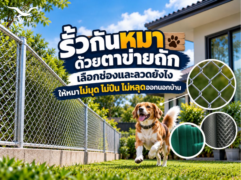 ตาข่ายถัก